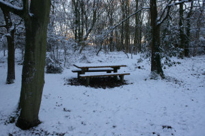 picnic-bench-in-snow